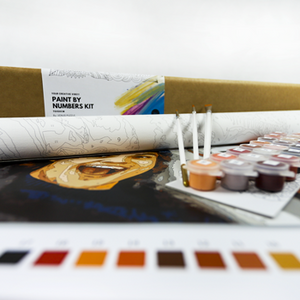 Custom Paint by numbers 50x50  - €  35.98