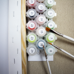 paint by numbers kit