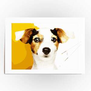Paint by numbers 35x50 - DIY FRAME  - 50 x 35 cm