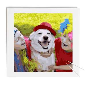 Paint by numbers 50x50 - DIY FRAME  - 50 x 50 cm